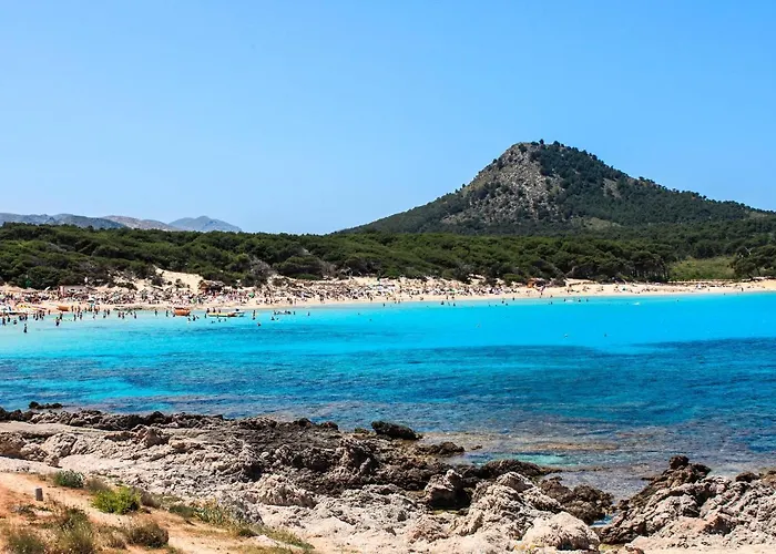 Drac Blanc 1-3 Cala Ratjada